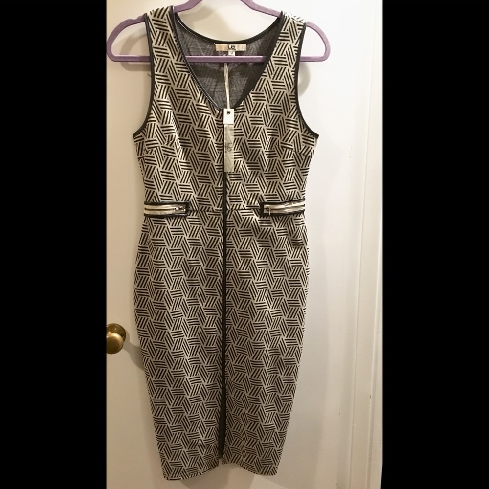 Anthropologie Sleeveless zipper dress